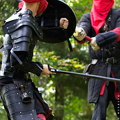 DSC0736