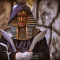OM1 SD2-P5312442 05312025 00628 PrivateUseOnly