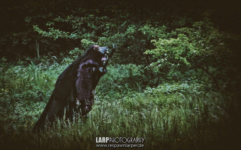 OM1 SD1-P5290642 05292025 00155 PrivateUseOnly